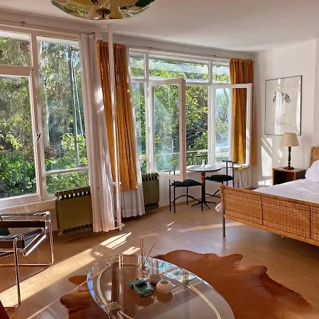 Petek Fenerbahce Kadikoy