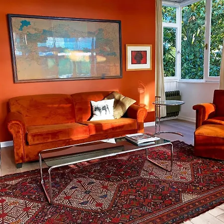 Petek Fenerbahce Kadikoy İstanbul