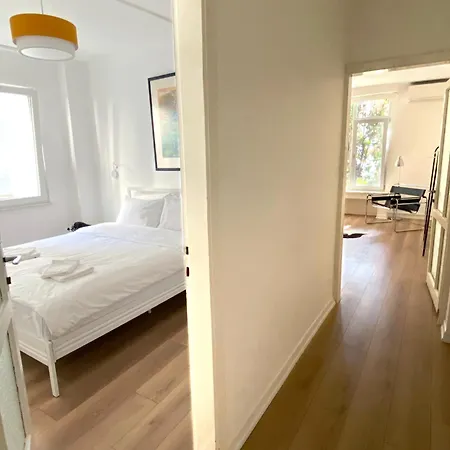 Petek Fenerbahce Kadikoy