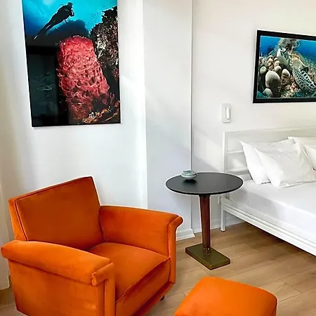 Petek Fenerbahce Kadikoy Hotel apartamentowy