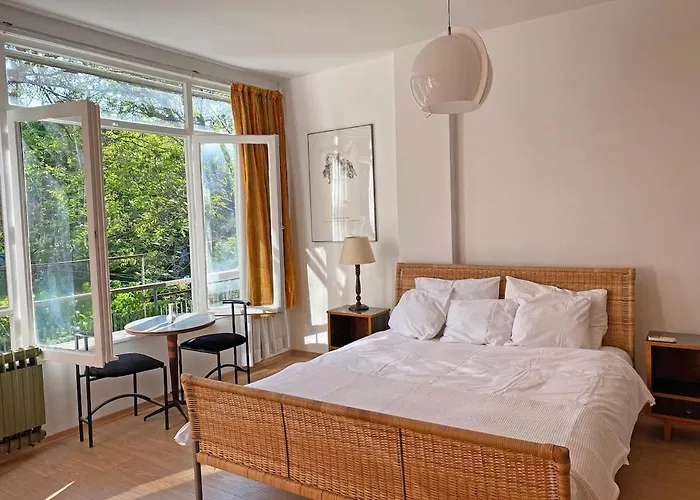 Petek Fenerbahce Kadikoy Istanbul