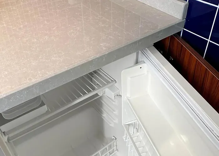 Petek Fenerbahce Kadikoy